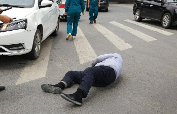 苏卡达陆龟图（12年男子捡到“乌龟”，养了7年发现不对劲）