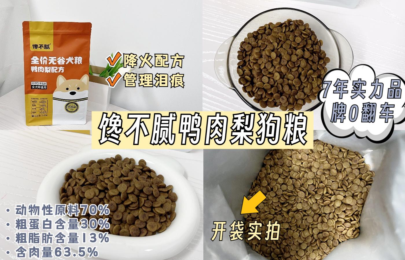超小型宠物狗品种大全图片及价格（家庭适合养的小型犬）