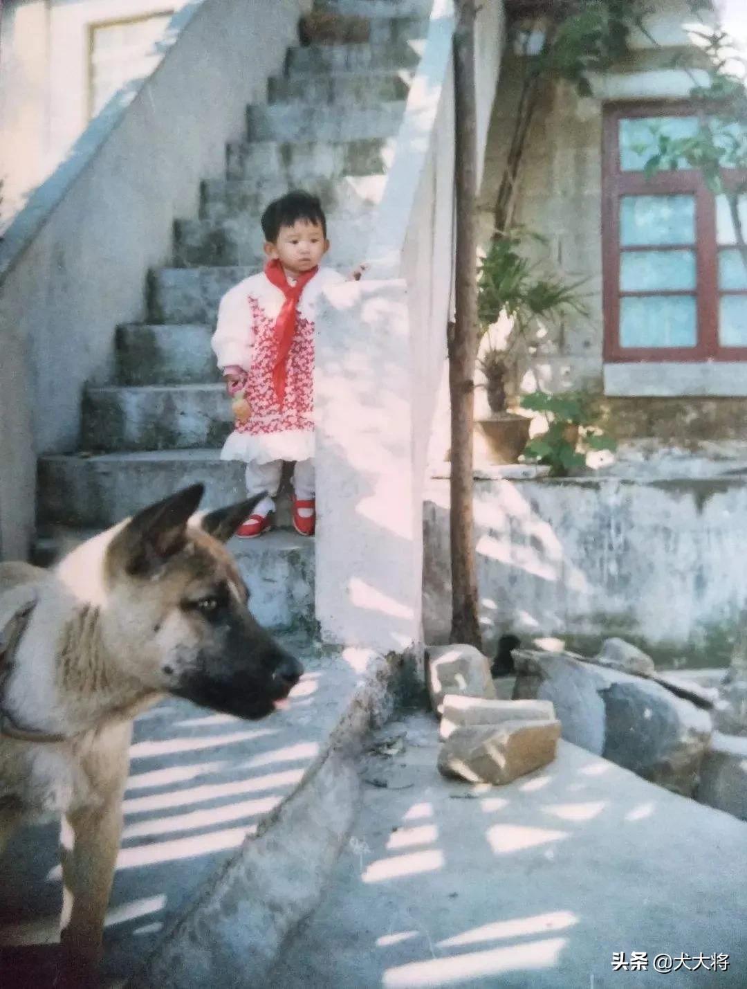 狗死后真的还会在家吗（狗狗离世后会回来找主人吗）