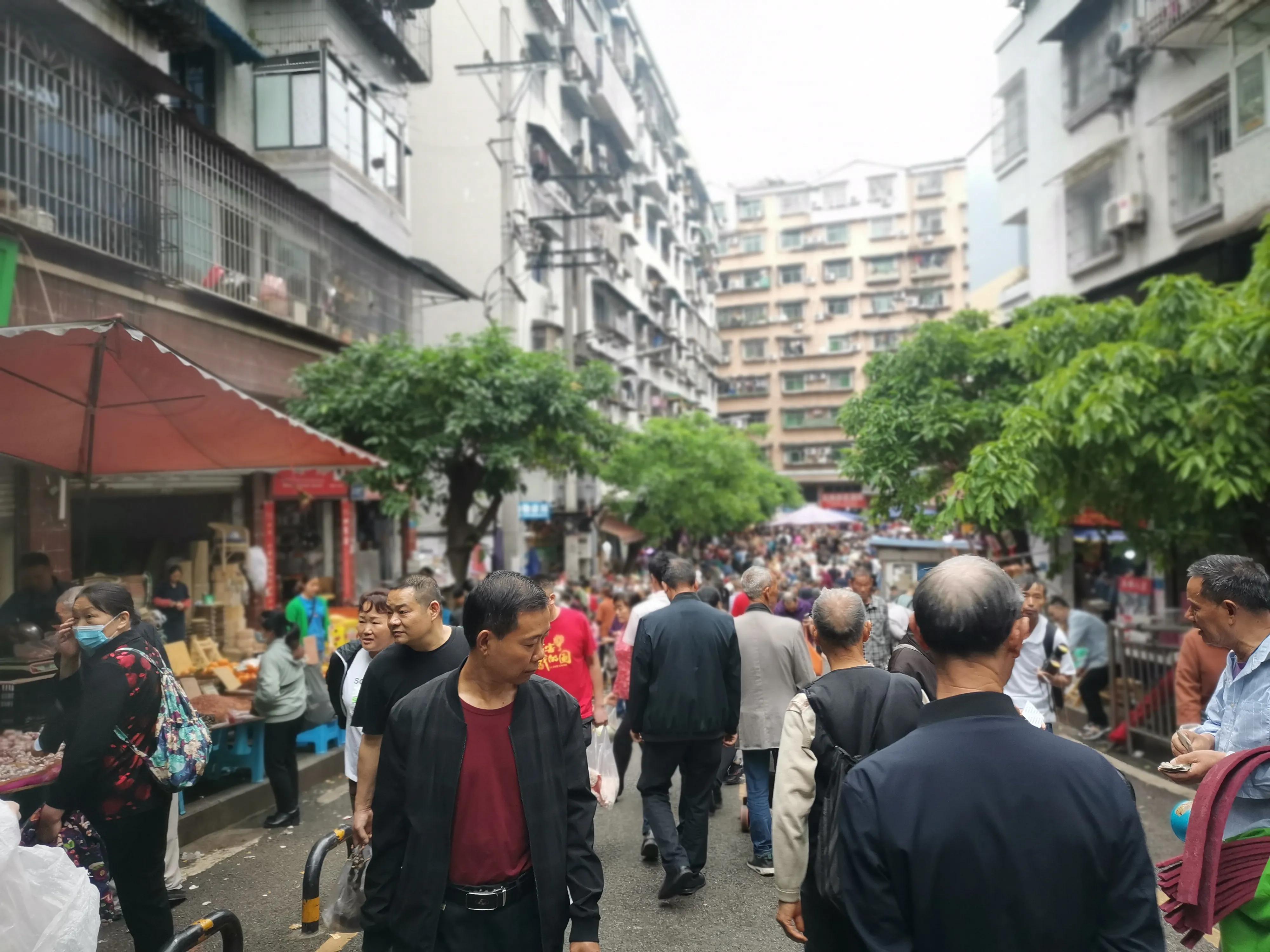 重庆宠物市场在哪（重庆哪里买狗便宜且安全）