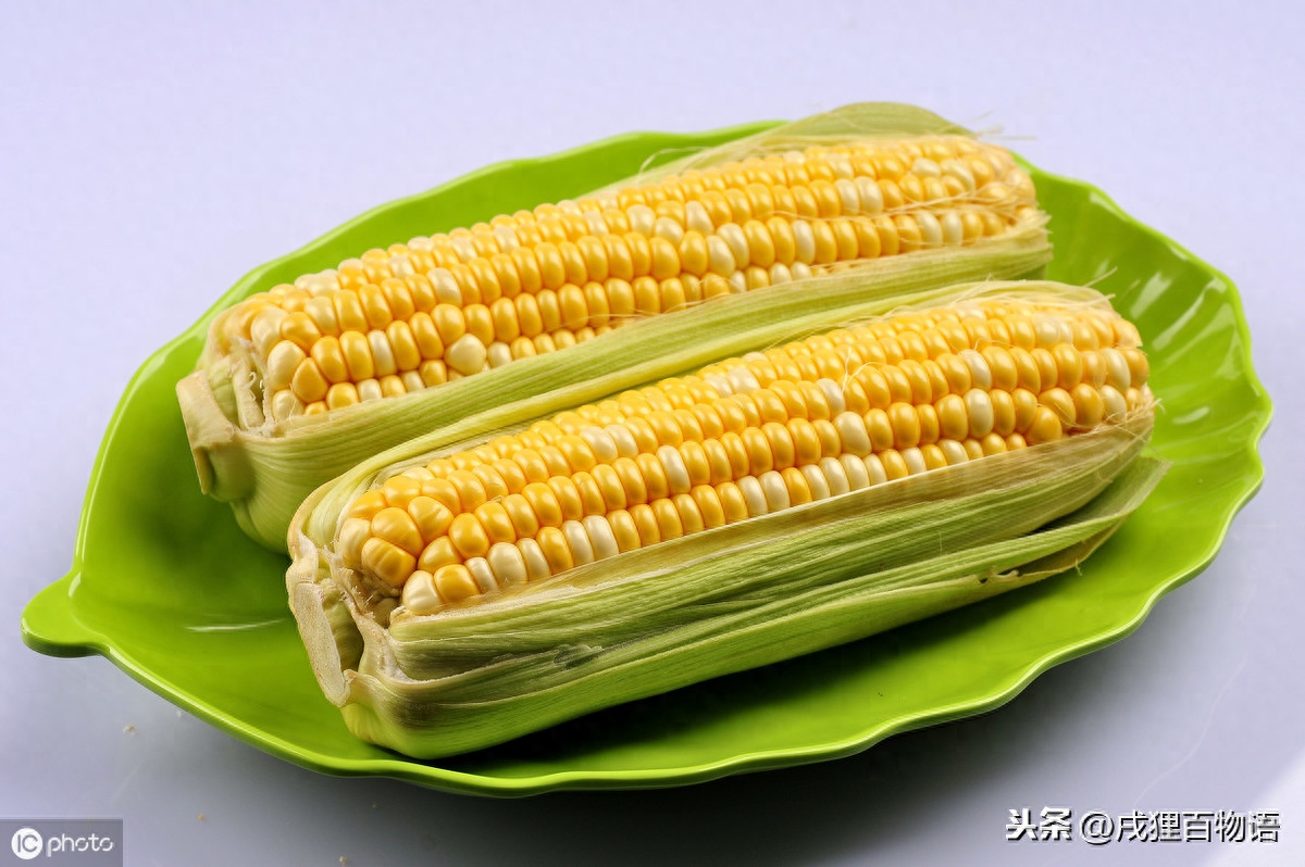 狗吃巧克力一定会死吗（附：常见的食物却是狗狗的致命物【含巧克力】）