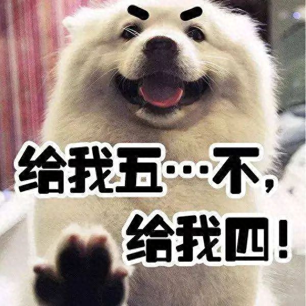 “雪橇三傻”到底谁最“傻”（附：世界三大傻狗）