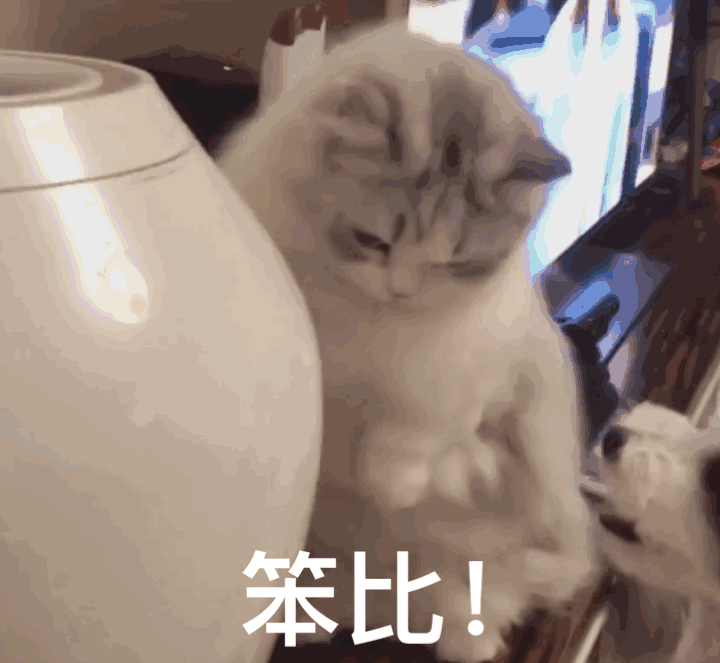 大脸猫图片卡通头像（最近很火的那个猫咪头像）