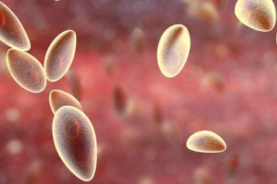 狗狗早上没吃饭吐黄水,狗狗呕吐物的颜色不同