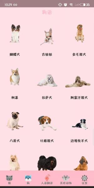 有鸟猫狗与人沟通的软件嘛（附：万能动物交流器）