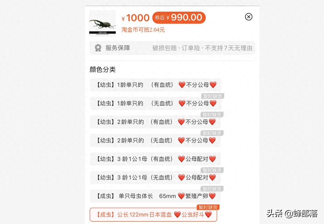 独角仙多少钱一只（注意：独角仙是保护动物哦）