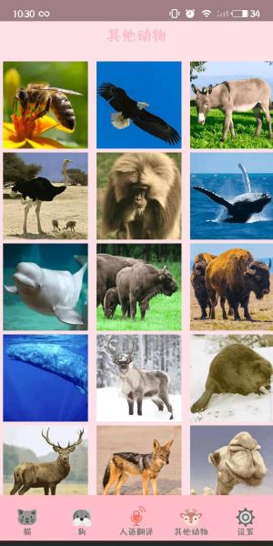 有鸟猫狗与人沟通的软件嘛（附：万能动物交流器）