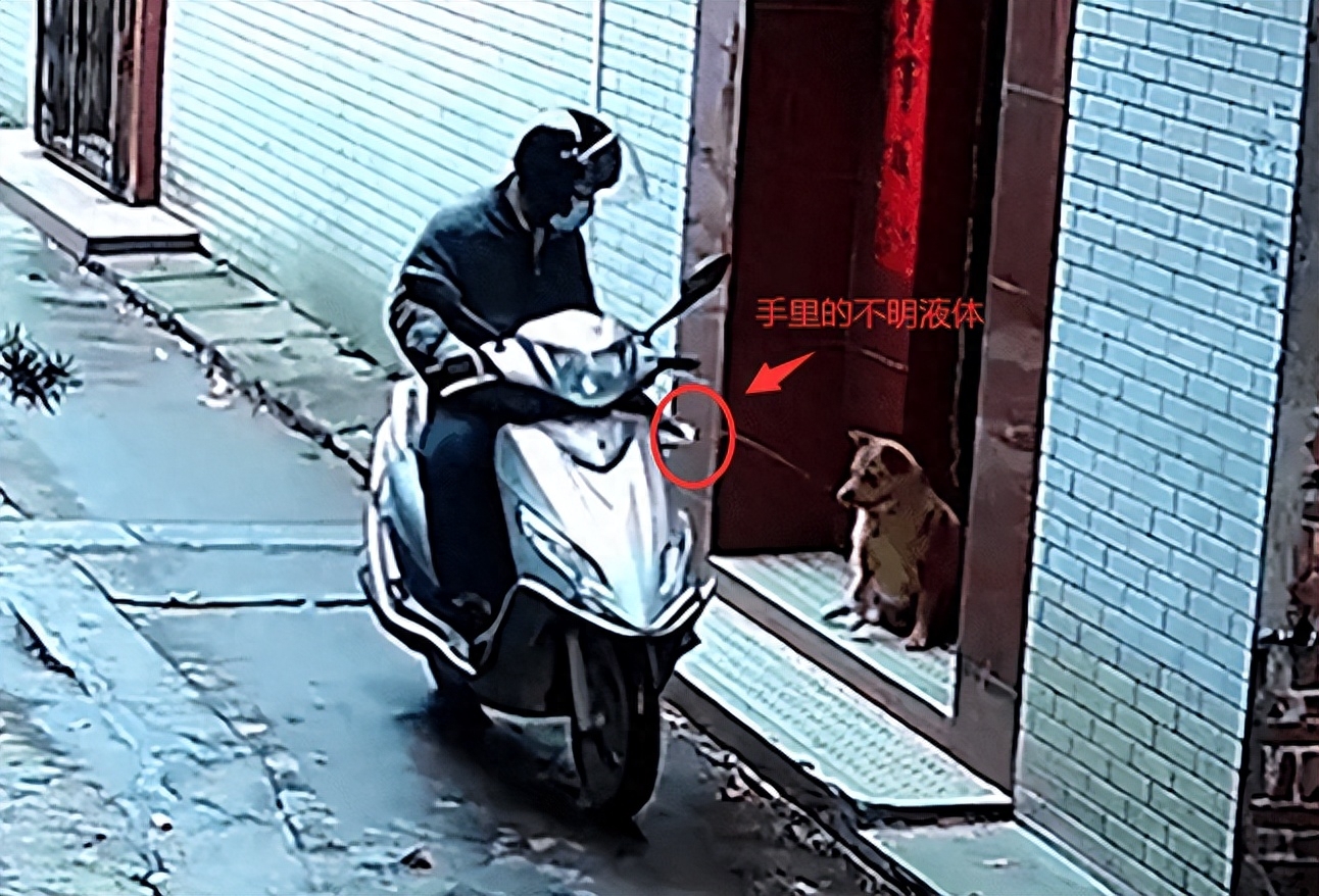 最简单的方法毒死狗有吗（附：60秒就能毒倒大狗的‘毒狗针’）