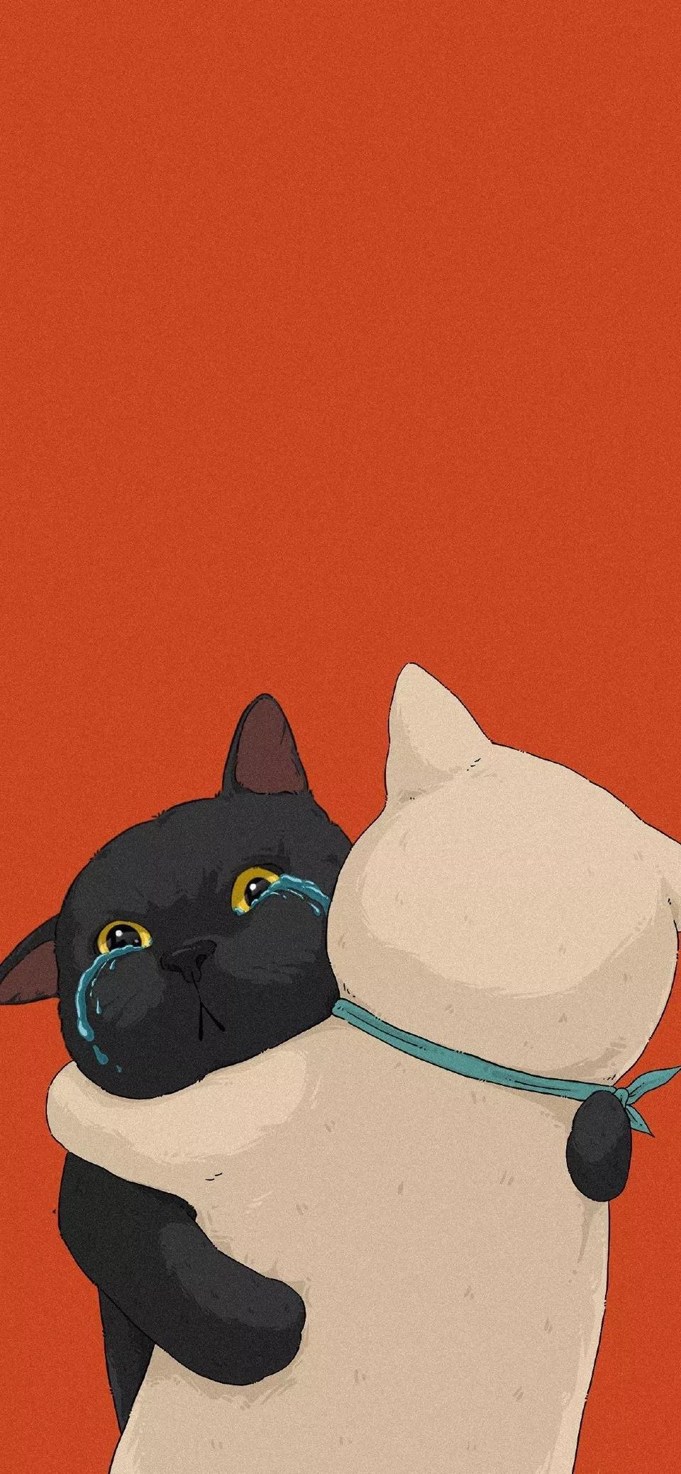 卡通可爱猫咪图片大全（失落的猫图片唯美）