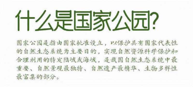 2022年中国大熊猫数量（中国现有多少只大熊猫）