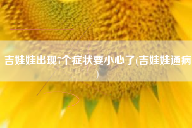 吉娃娃出现7个症状要小心了(吉娃娃通病)