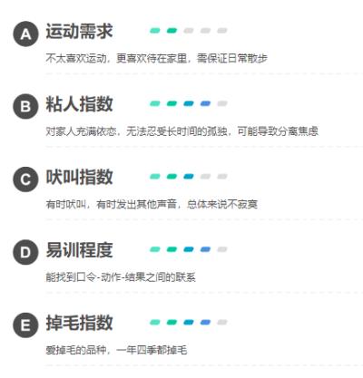 骑士查理王猎犬（查尔斯王骑士猎犬）