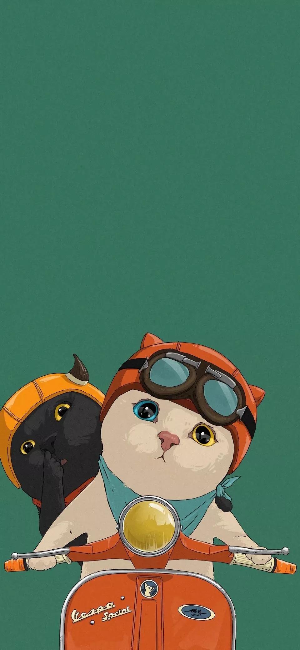 卡通可爱猫咪图片大全（失落的猫图片唯美）