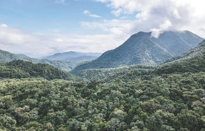 2022年中国大熊猫数量（中国现有多少只大熊猫）