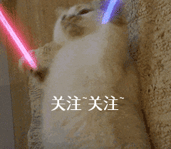 拉布拉多幼犬价格多少钱一只纯黑（教你看拉布拉多纯种不纯种的图片）