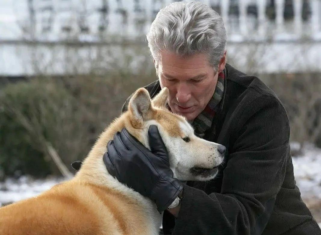 关于狗的电影排行榜前十名中国有哪些（狗狗电影排行榜前十名搞笑）