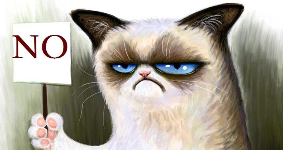 猫和狗哪个智商高一点（猫和狗哪个更通人性）