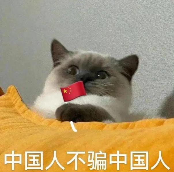 大脸猫图片卡通头像（最近很火的那个猫咪头像）