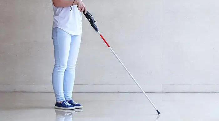 导盲犬多少钱一只（导盲犬怎么知道主人要去哪里）