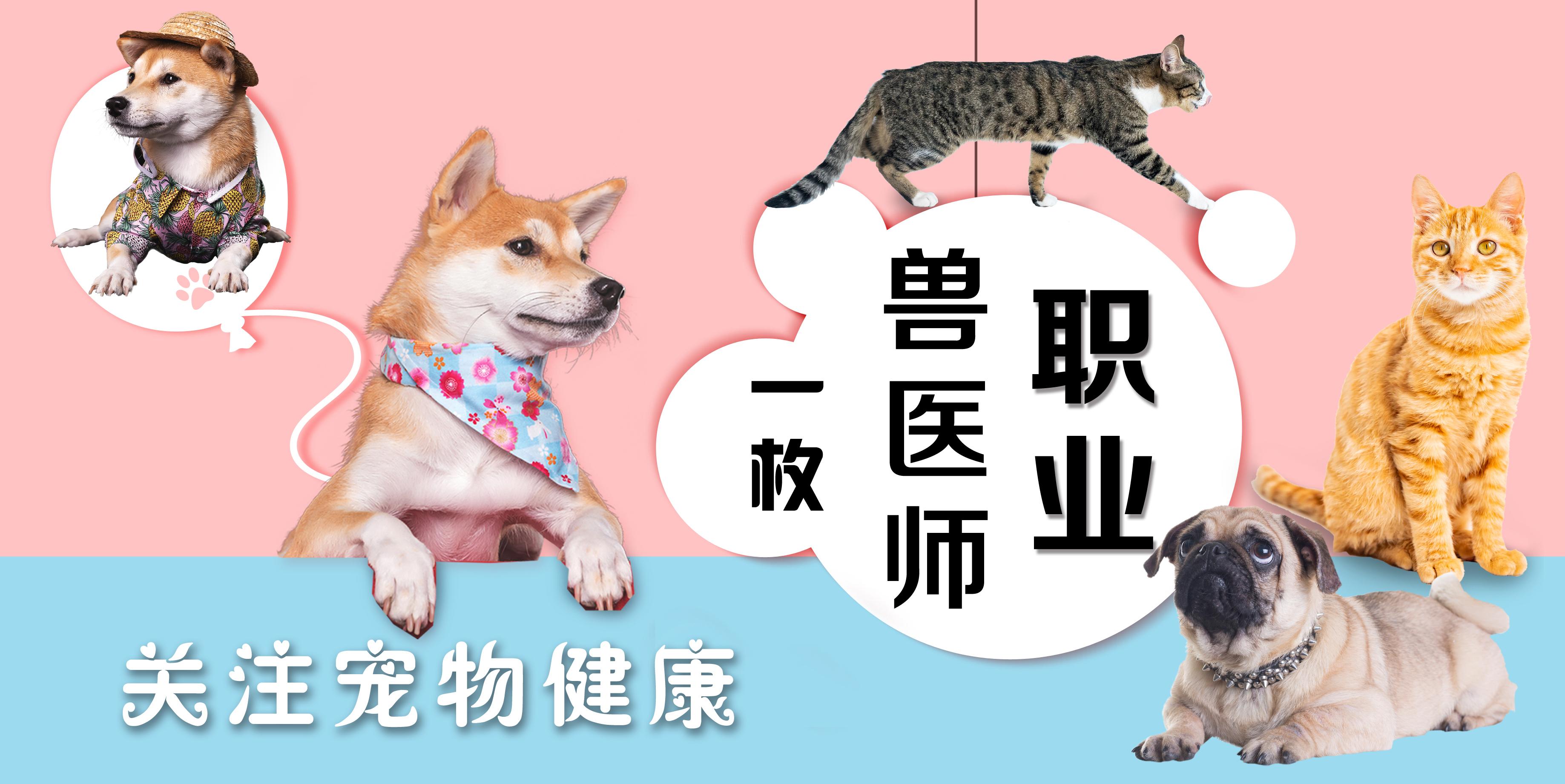 猫杯状是什么症状