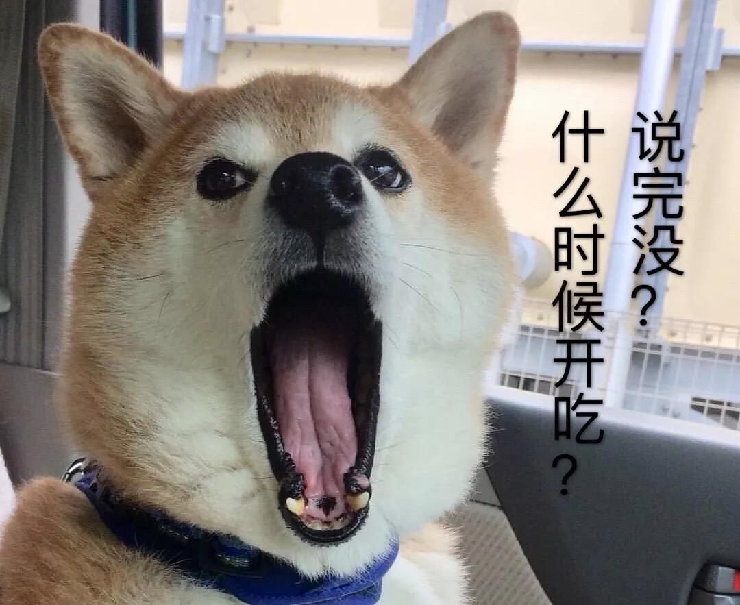 狗狗把带血的卫生巾吃了为什么（ 狗狗吃了人的月经血会怎样）