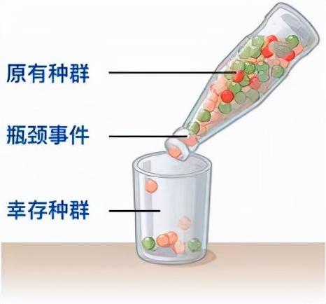 2022年中国大熊猫数量（中国现有多少只大熊猫）