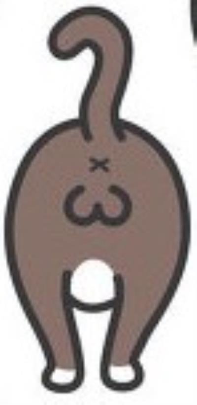 如何分辨猫咪性别（详解：怎么分辨猫的公母）