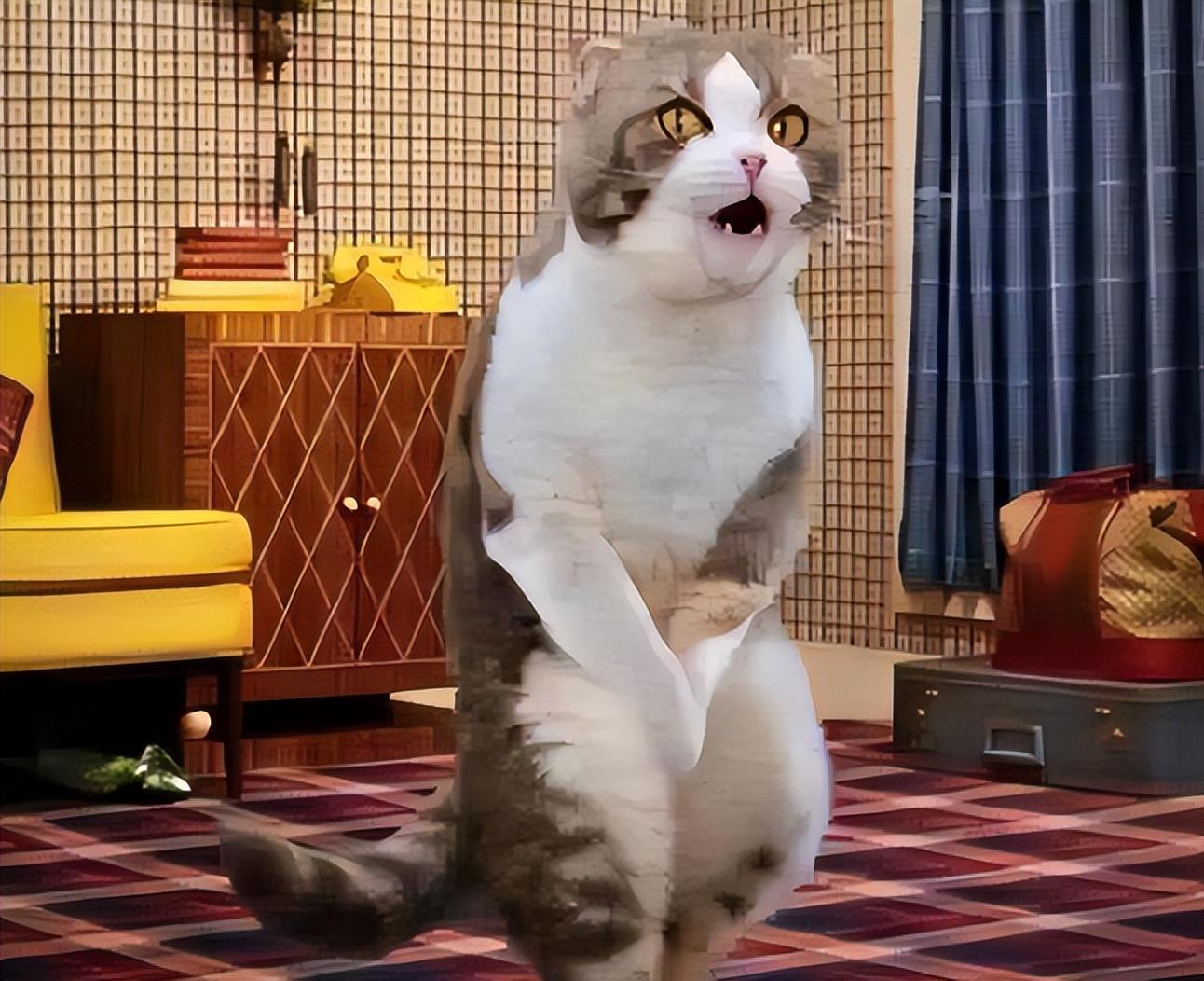 公猫绝育后性格有变化吗