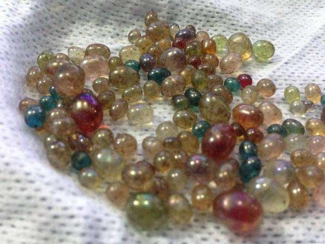 鹦鹉也能烧出舍利子？舍利子并非高僧专属，人工舍利子9块9包邮？