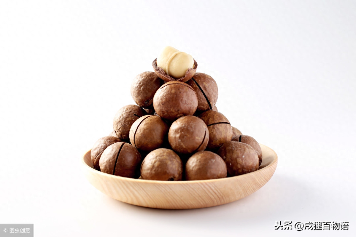 狗吃巧克力一定会死吗（附：常见的食物却是狗狗的致命物【含巧克力】）