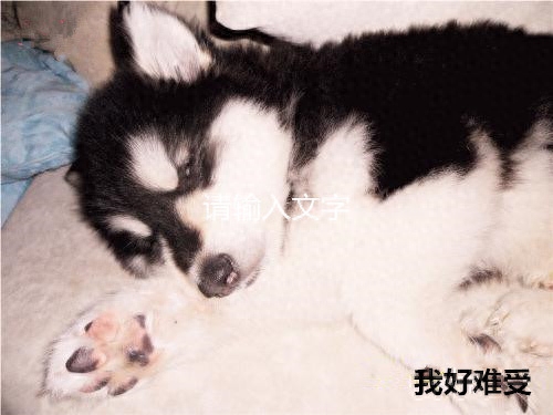 细小会把整个屋子感染吗