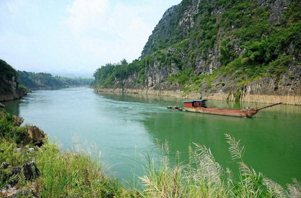 芝麻剑鱼图片（附：广西“芝麻剑”被吃成二级保护鱼类）