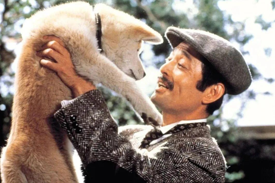 关于狗的电影排行榜前十名中国有哪些（狗狗电影排行榜前十名搞笑）