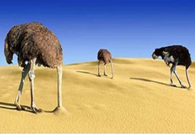 鸵鸟政策是什么政策（扯淡的鸵鸟政策）