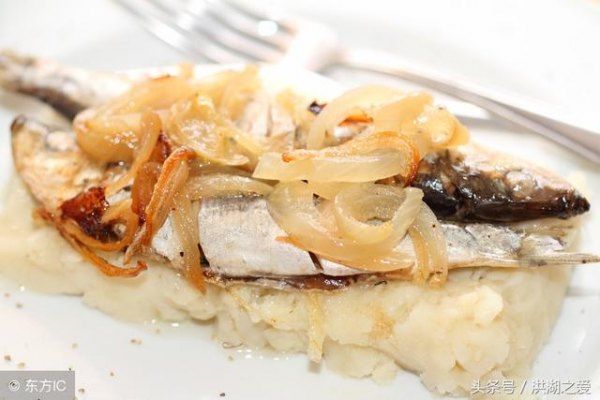 鮰鱼是高蛋白低肪的鱼嘛