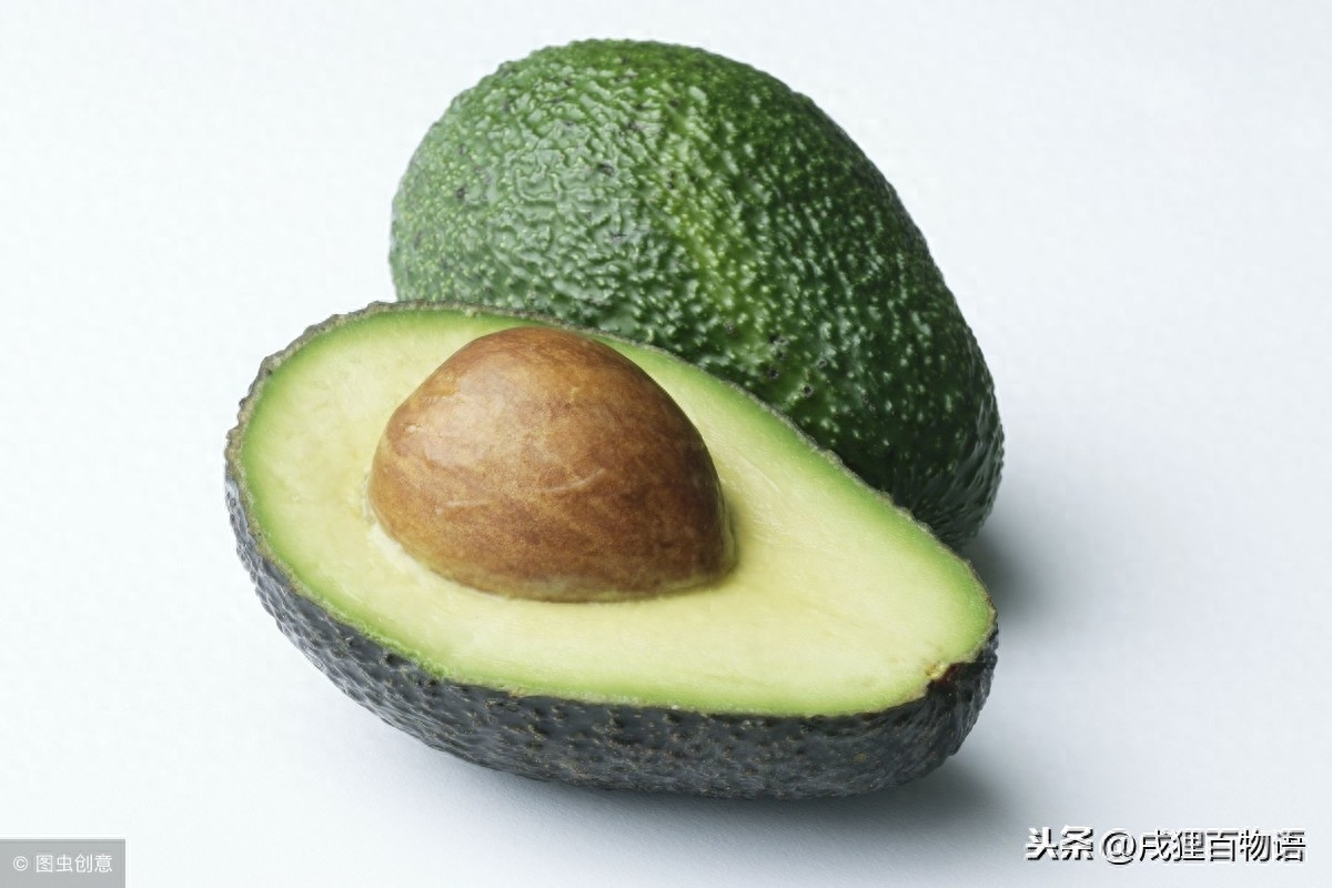 狗吃巧克力一定会死吗（附：常见的食物却是狗狗的致命物【含巧克力】）