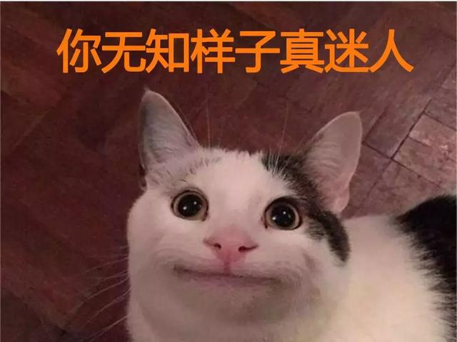 猫虱子跳到人身上怎么解决