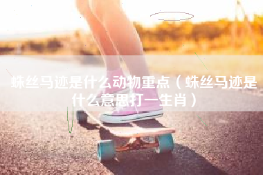 蛛丝马迹是什么动物重点（蛛丝马迹是什么意思打一生肖）