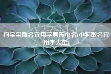 狗宝宝取名宜用字男孩小名(小狗取名宜用字大全)