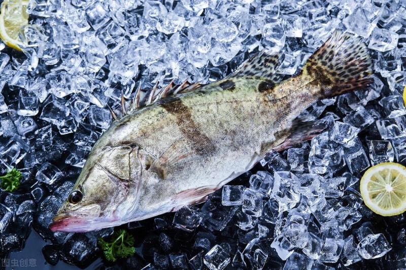 桂鱼多少钱一斤2022（详解：一万尾桂花鱼养殖成本）