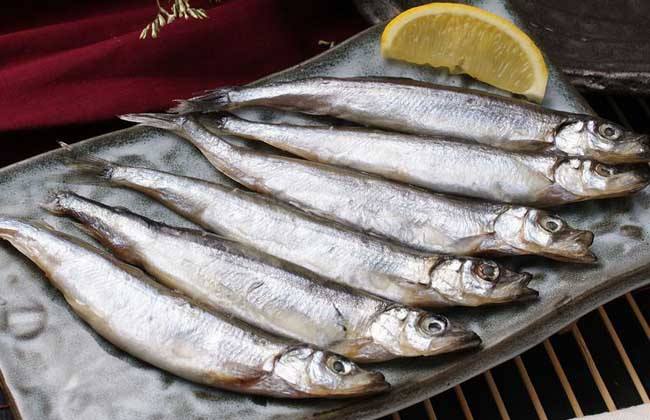 多春鱼是到底是什么鱼呢（附：多春鱼是淡水鱼还是海水鱼）