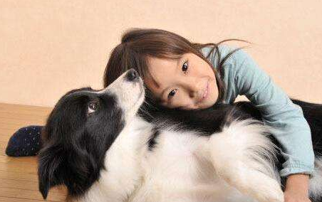 狗狗飞机耳什么意思图片（狗狗一模头耳朵向后贴是开心吗）