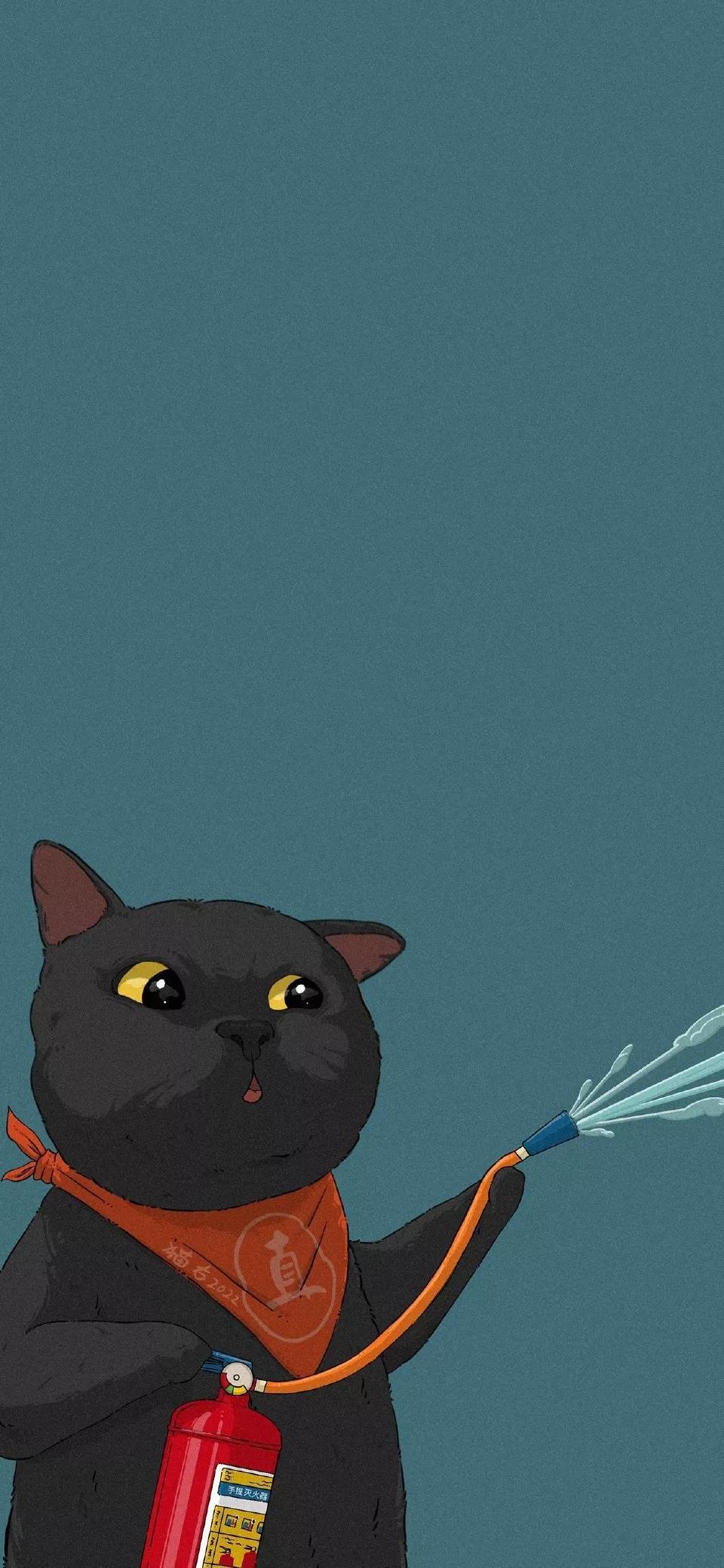 卡通可爱猫咪图片大全（失落的猫图片唯美）