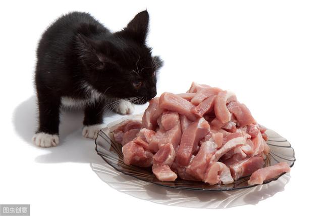 猫咪可以吃馒头么(宠物猫能吃馒头吗)