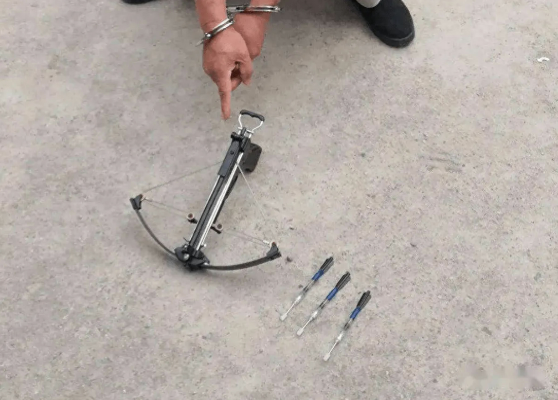 最简单的方法毒死狗有吗（附：60秒就能毒倒大狗的‘毒狗针’）