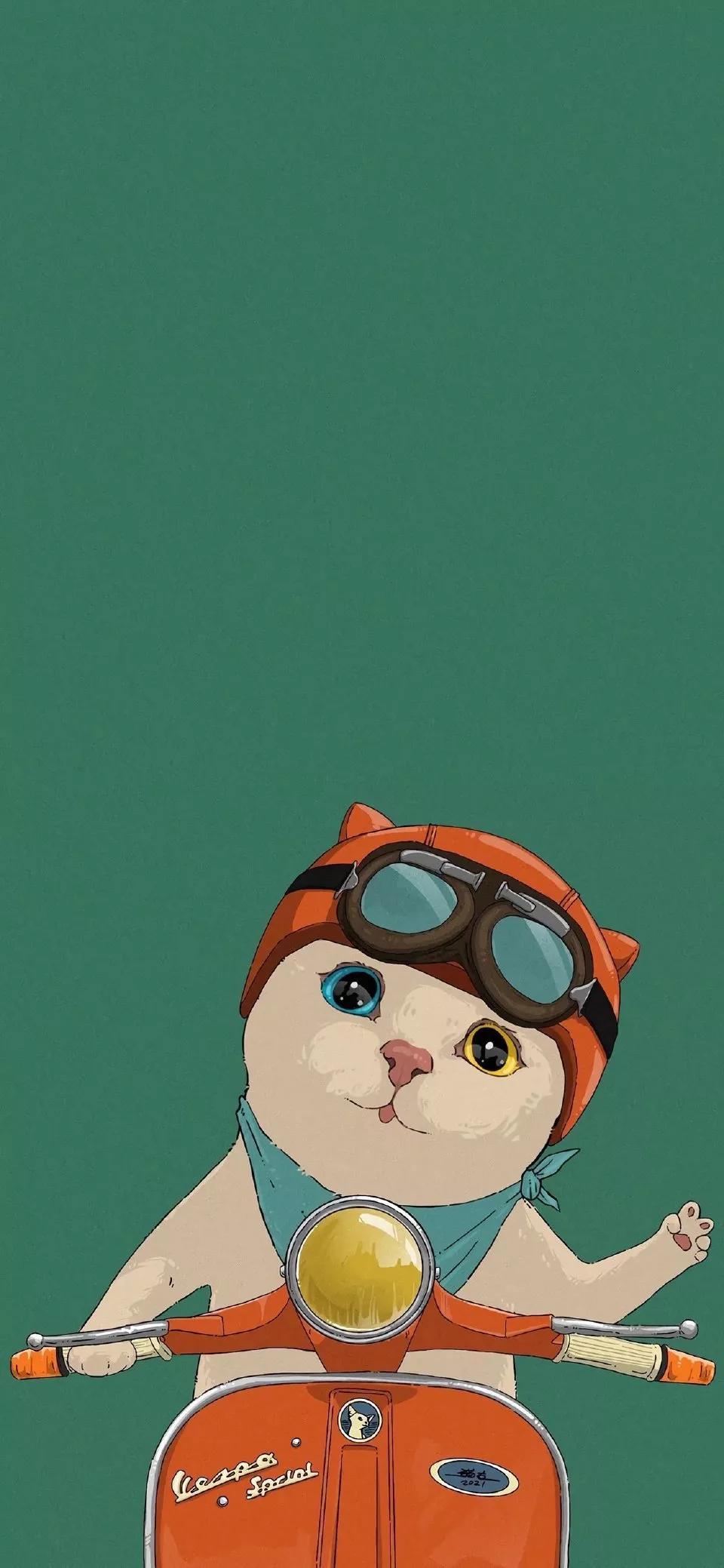 卡通可爱猫咪图片大全（失落的猫图片唯美）