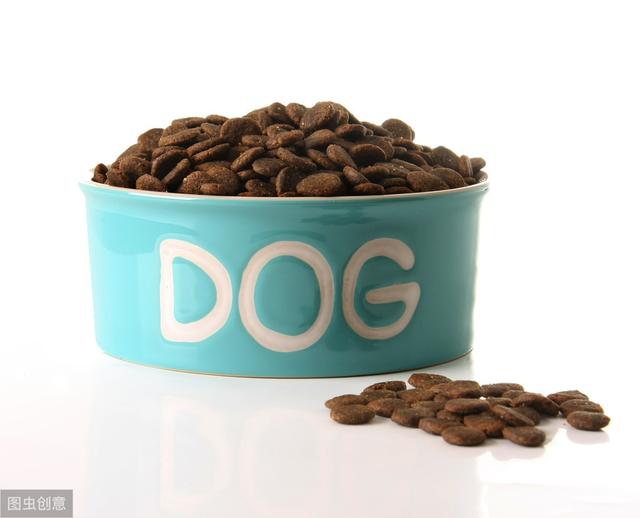 猫咪可以吃馒头么(宠物猫能吃馒头吗)