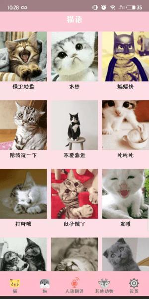 有鸟猫狗与人沟通的软件嘛（附：万能动物交流器）