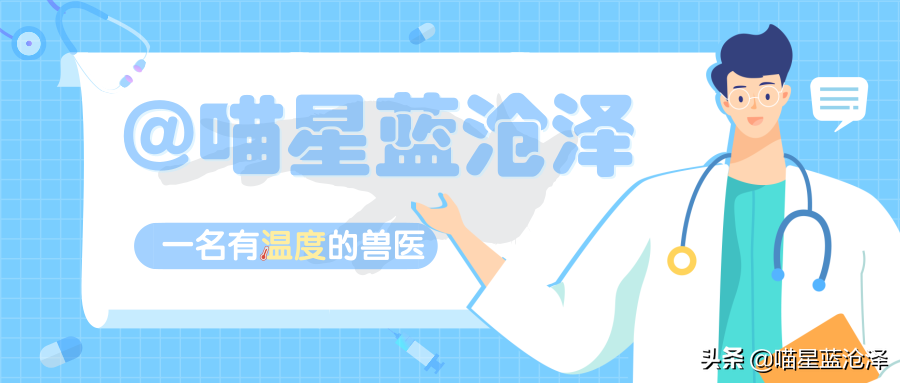 宠物长毛蓝猫多少钱一只啊