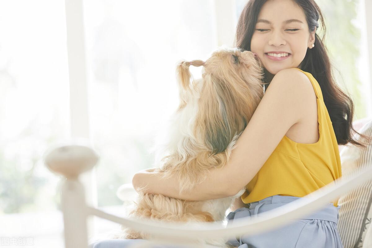 狗狗喜欢你的10种表现（让狗狗听话的最快方法你知道吗）